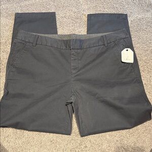 Caslon Women's Dark Gray Chinos NWT Size 16